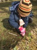 MŠ - Vítání jara sázením jarních cibulek, barevná třída (20. 3. 2023)