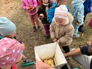 MŠ - O jabloních a sadaři, aneb Moštování ve školce (24. 10. 2023)