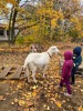 MŠ - Návštěva farmy JINOFARM, barevná třída (13. 11. 2023)
