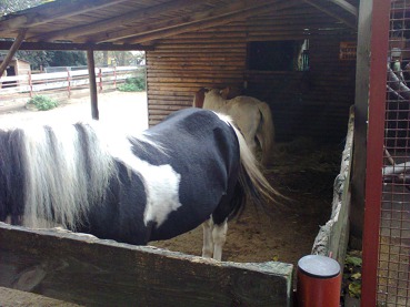 ŠD - Přírodovědná stanice na Andělu