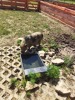 MŠ - Celodenní výlet do Zooparku Zelčín (24. 6. 2025)