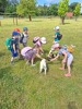 MŠ - Celodenní výlet do Zooparku Zelčín (24. 6. 2025)