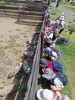 MŠ - Celodenní výlet do Zooparku Zelčín (24. 6. 2025)