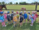 MŠ - Celodenní výlet do Zooparku Zelčín (24. 6. 2025)