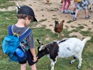 MŠ - Celodenní výlet do Zooparku Zelčín (24. 6. 2025)