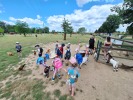 MŠ - Celodenní výlet do Zooparku Zelčín (24. 6. 2025)