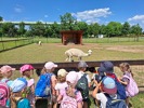 MŠ - Celodenní výlet do Zooparku Zelčín (24. 6. 2025)