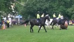 MŠ - Den dětí s Městskou policií, barevná třída (24. května 2016)