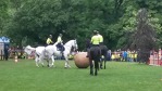 MŠ - Den dětí s Městskou policií, barevná třída (24. května 2016)