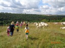 MŠ - Výlet za ovečkami, červená a žlutá třída (28. června 2016)