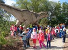 MŠ - Celodenní výlet do ZOO Plzeň (7. 6. 2017)