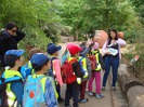 MŠ - Celodenní výlet do ZOO Plzeň (7. 6. 2017)