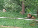 MŠ - Celodenní výlet do ZOO Plzeň (7. 6. 2017)