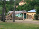 MŠ - Celodenní výlet do ZOO Plzeň (7. 6. 2017)