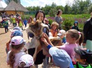 MŠ - Celodenní výlet do ZOO Plzeň (7. 6. 2017)