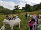 MŠ - Toulcův dvůr, červená třída (13. 6. 2017)