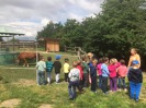 MŠ - Toulcův dvůr, červená třída (25. 6. 2018)