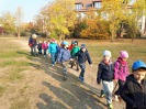 MŠ - Malý turista, předškoláci z červené a barevné třídy (18. 10. 2018)