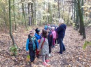 MŠ - Malý turista, předškoláci z červené a barevné třídy (18. 10. 2018)