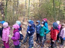 MŠ - Malý turista, předškoláci z červené a barevné třídy (18. 10. 2018)