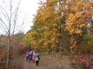 MŠ - Ekohrátky "Žijeme lesem", žlutá třída (23. 10. 2018)