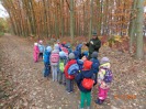 MŠ - Ekohrátky "Žijeme lesem", žlutá třída (23. 10. 2018)