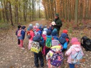 MŠ - Ekohrátky "Žijeme lesem", žlutá třída (23. 10. 2018)