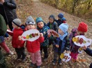 MŠ - Ekohrátky "Žijeme lesem", žlutá třída (23. 10. 2018)