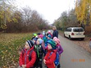 MŠ - Ekohrátky "Žijeme lesem", barevná třída (13. 11. 2018)