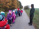 MŠ - Ekohrátky "Žijeme lesem", barevná třída (13. 11. 2018)