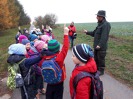 MŠ - Ekohrátky "Žijeme lesem", barevná třída (13. 11. 2018)