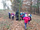 MŠ - Ekohrátky "Žijeme lesem", barevná třída (13. 11. 2018)