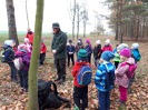 MŠ - Ekohrátky "Žijeme lesem", barevná třída (13. 11. 2018)