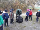 MŠ - Ekohrátky "Žijeme lesem", barevná třída (13. 11. 2018)