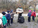 MŠ - Ekohrátky "Žijeme lesem", barevná třída (13. 11. 2018)