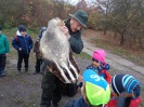 MŠ - Ekohrátky "Žijeme lesem", barevná třída (13. 11. 2018)