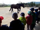 MŠ - Celodenní výlet - Pěnkavův dvůr v Takoníně, barevná třída (23. 4. 2019)