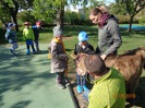 MŠ - Učení se zvířátky, barevná a žlutá třída (7. 5. 2019)