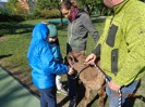 MŠ - Učení se zvířátky, barevná a žlutá třída (7. 5. 2019)