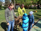 MŠ - Učení se zvířátky, barevná a žlutá třída (7. 5. 2019)