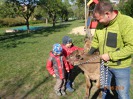 MŠ - Učení se zvířátky, barevná a žlutá třída (7. 5. 2019)