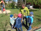 MŠ - Učení se zvířátky, barevná a žlutá třída (7. 5. 2019)