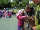 MŠ - Učení se zvířátky, modrá a červená třída (7. 5. 2019)