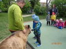 MŠ - Učení se zvířátky, modrá a červená třída (7. 5. 2019)