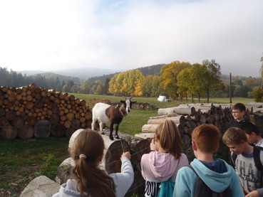 Adaptační kurz 6. tříd - Šumava 2019