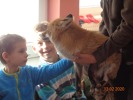 MŠ - Setkání dětí s liškou Miou (13. 2. 2020)