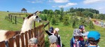 MŠ - Celodenní výlet, Farmapark Soběhrdy, barevná třída (21. 6. 2022)