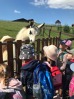 MŠ - Celodenní výlet, Farmapark Soběhrdy, barevná třída (21. 6. 2022)